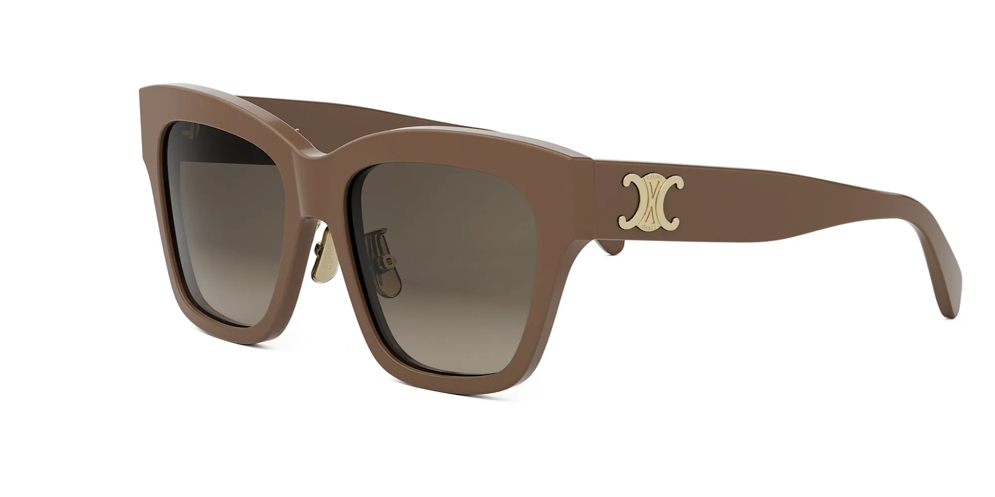 CELINE Triomphe CL40253F