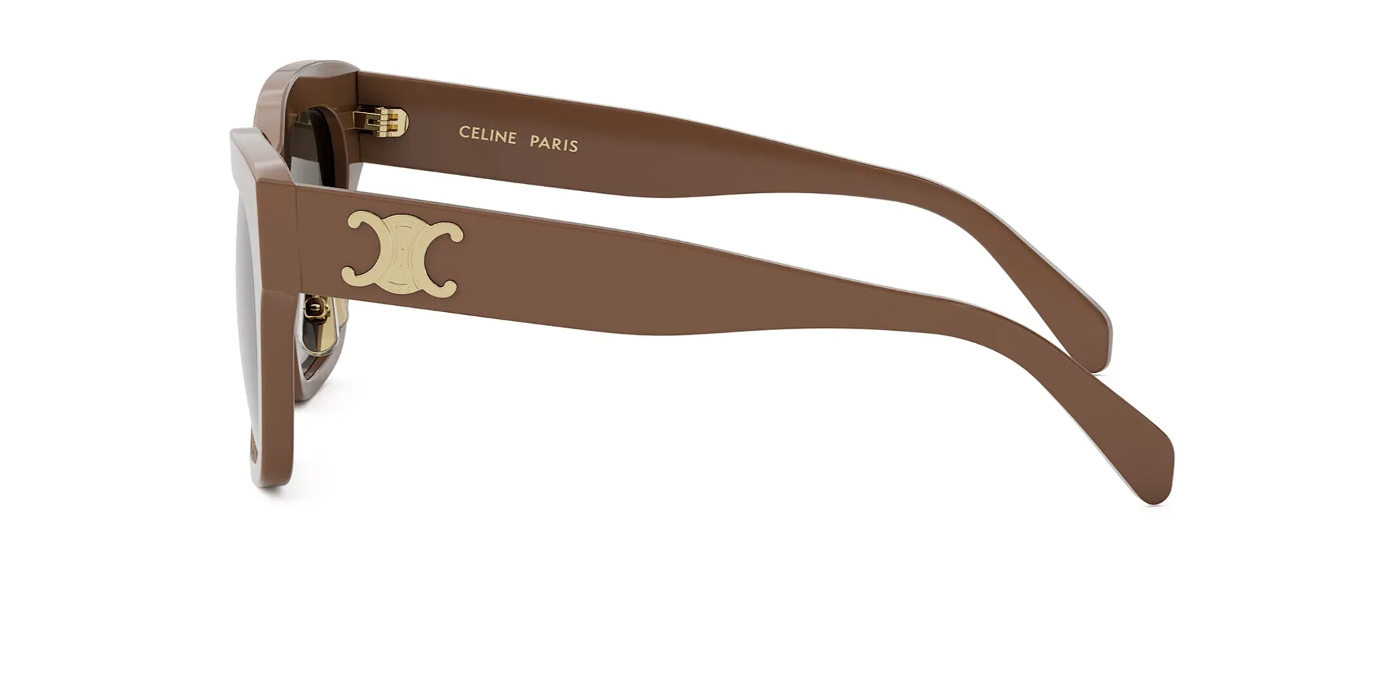 CELINE Triomphe CL40253F