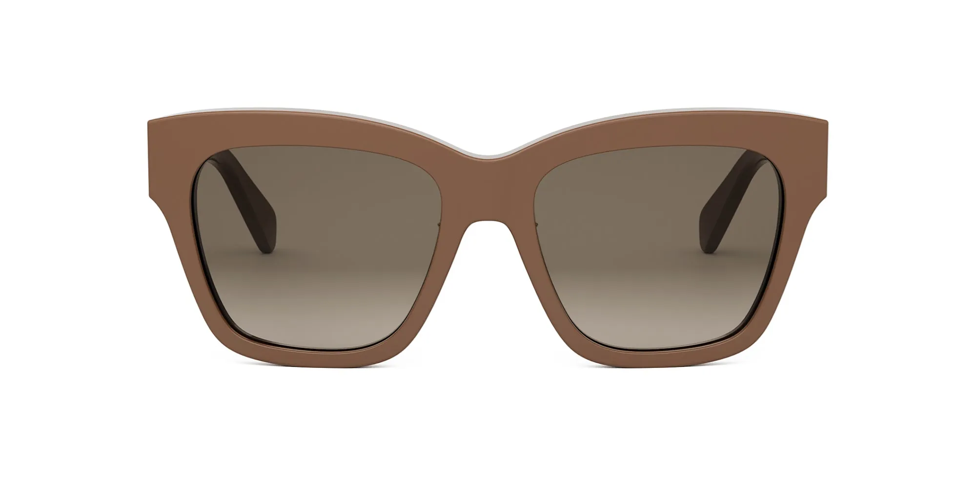 CELINE Triomphe CL40253F
