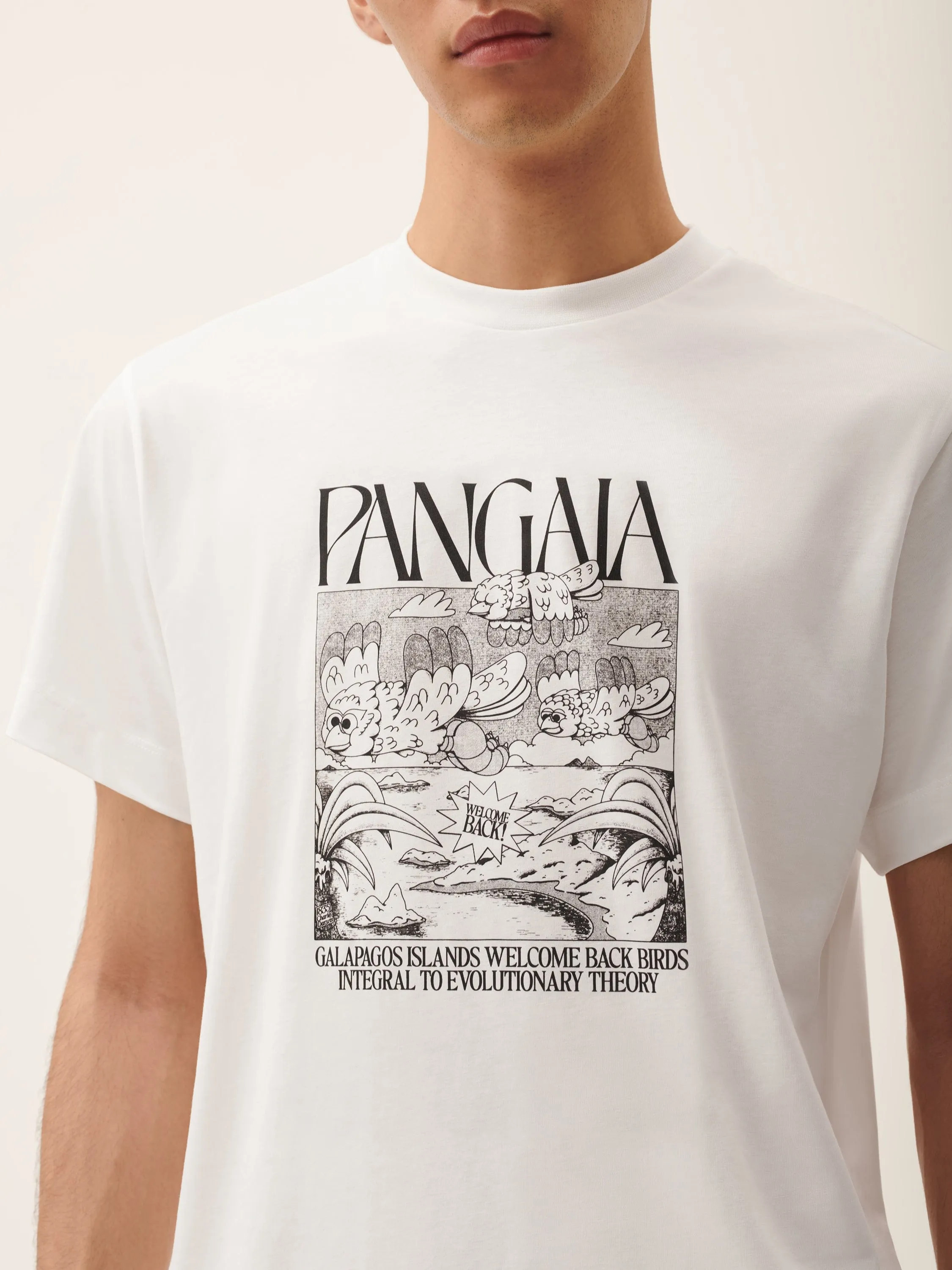 Mens Finches Return Hope T-Shirt—off-white